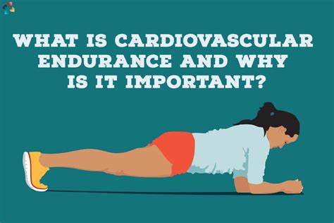 Cardiovascular Endurance: What It Is, How To .